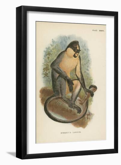 Everett's Langur-null-Framed Giclee Print