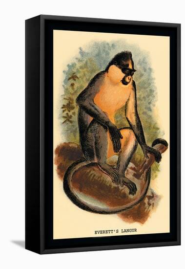 Everett's Langur-G.r. Waterhouse-Framed Stretched Canvas