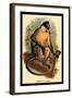 Everett's Langur-G.r. Waterhouse-Framed Art Print