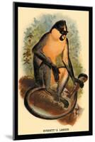 Everett's Langur-G.r. Waterhouse-Mounted Art Print