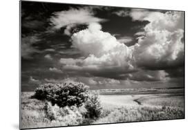 Everette Bay I-Alan Hausenflock-Mounted Photographic Print