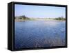 Everglades, Florida, USA-Derrick Furlong-Framed Stretched Canvas