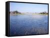 Everglades, Florida, USA-Derrick Furlong-Framed Stretched Canvas