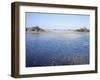 Everglades, Florida, USA-Derrick Furlong-Framed Photographic Print