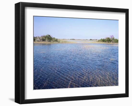 Everglades, Florida, USA-Derrick Furlong-Framed Photographic Print