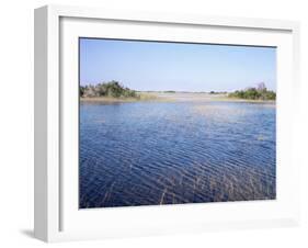 Everglades, Florida, USA-Derrick Furlong-Framed Photographic Print