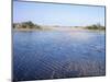 Everglades, Florida, USA-Derrick Furlong-Mounted Photographic Print