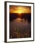 Everglades National Park, FL-Angelo Cavalli-Framed Premium Photographic Print