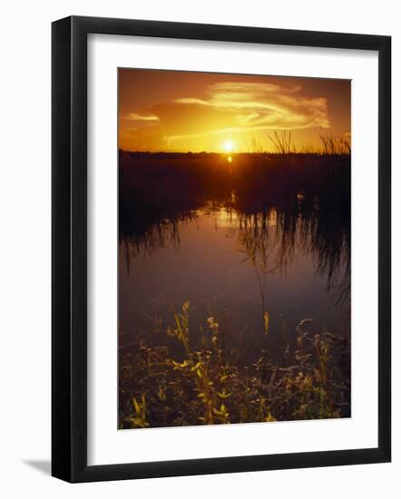 Everglades National Park, FL-Angelo Cavalli-Framed Photographic Print