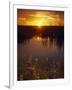 Everglades National Park, FL-Angelo Cavalli-Framed Photographic Print