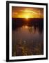 Everglades National Park, FL-Angelo Cavalli-Framed Photographic Print