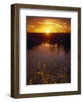 Everglades National Park, FL-Angelo Cavalli-Framed Photographic Print