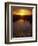 Everglades National Park, FL-Angelo Cavalli-Framed Photographic Print