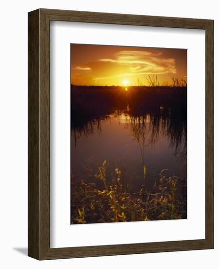 Everglades National Park, FL-Angelo Cavalli-Framed Photographic Print