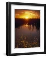 Everglades National Park, FL-Angelo Cavalli-Framed Photographic Print