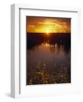 Everglades National Park, FL-Angelo Cavalli-Framed Photographic Print