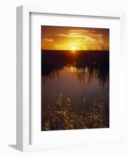 Everglades National Park, FL-Angelo Cavalli-Framed Photographic Print