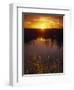 Everglades National Park, FL-Angelo Cavalli-Framed Photographic Print