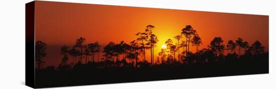 Everglades National Park, Florida, USA-null-Stretched Canvas