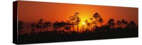 Everglades National Park, Florida, USA-null-Stretched Canvas