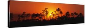 Everglades National Park, Florida, USA-null-Stretched Canvas
