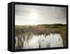 Everglades National Park, UNESCO World Heritage Site, Florida, USA, North America-Angelo Cavalli-Framed Stretched Canvas