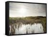 Everglades National Park, UNESCO World Heritage Site, Florida, USA, North America-Angelo Cavalli-Framed Stretched Canvas