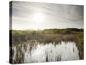 Everglades National Park, UNESCO World Heritage Site, Florida, USA, North America-Angelo Cavalli-Stretched Canvas