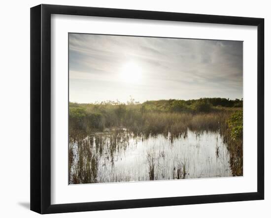 Everglades National Park, UNESCO World Heritage Site, Florida, USA, North America-Angelo Cavalli-Framed Photographic Print