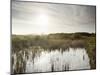 Everglades National Park, UNESCO World Heritage Site, Florida, USA, North America-Angelo Cavalli-Mounted Photographic Print