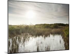Everglades National Park, UNESCO World Heritage Site, Florida, USA, North America-Angelo Cavalli-Mounted Photographic Print