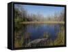 Everglades National Park, UNESCO World Heritage Site, Florida, USA, North America-Angelo Cavalli-Framed Stretched Canvas