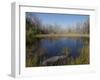 Everglades National Park, UNESCO World Heritage Site, Florida, USA, North America-Angelo Cavalli-Framed Photographic Print