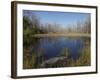 Everglades National Park, UNESCO World Heritage Site, Florida, USA, North America-Angelo Cavalli-Framed Photographic Print