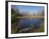 Everglades National Park, UNESCO World Heritage Site, Florida, USA, North America-Angelo Cavalli-Framed Photographic Print