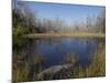 Everglades National Park, UNESCO World Heritage Site, Florida, USA, North America-Angelo Cavalli-Mounted Photographic Print