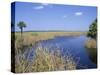 Everglades National Park, Unesco World Heritage Site, Florida, USA-J Lightfoot-Stretched Canvas