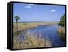 Everglades National Park, Unesco World Heritage Site, Florida, USA-J Lightfoot-Framed Stretched Canvas