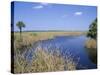 Everglades National Park, Unesco World Heritage Site, Florida, USA-J Lightfoot-Stretched Canvas