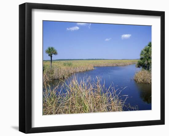 Everglades National Park, Unesco World Heritage Site, Florida, USA-J Lightfoot-Framed Premium Photographic Print