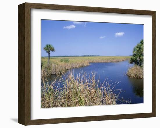Everglades National Park, Unesco World Heritage Site, Florida, USA-J Lightfoot-Framed Photographic Print