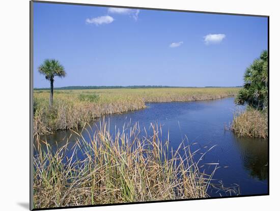 Everglades National Park, Unesco World Heritage Site, Florida, USA-J Lightfoot-Mounted Photographic Print