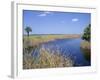 Everglades National Park, Unesco World Heritage Site, Florida, USA-J Lightfoot-Framed Photographic Print