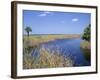 Everglades National Park, Unesco World Heritage Site, Florida, USA-J Lightfoot-Framed Photographic Print