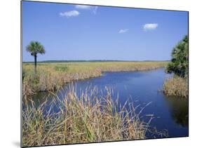 Everglades National Park, Unesco World Heritage Site, Florida, USA-J Lightfoot-Mounted Photographic Print