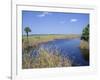 Everglades National Park, Unesco World Heritage Site, Florida, USA-J Lightfoot-Framed Photographic Print