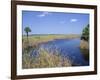 Everglades National Park, Unesco World Heritage Site, Florida, USA-J Lightfoot-Framed Photographic Print