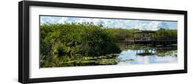 Everglades National Park - Unesco World Heritage Site - Florida - USA-Philippe Hugonnard-Framed Photographic Print