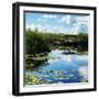Everglades National Park - Unesco World Heritage Site - Florida - USA-Philippe Hugonnard-Framed Photographic Print
