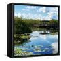 Everglades National Park - Unesco World Heritage Site - Florida - USA-Philippe Hugonnard-Framed Stretched Canvas